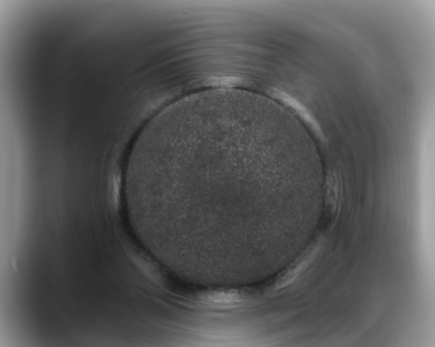 X0000088670110200706071507