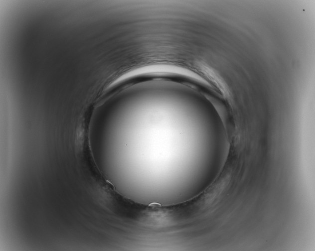 X0000088670113200706071507