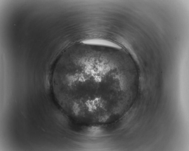 X0000088670114200706071507