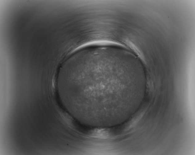 X0000088670117200706071507