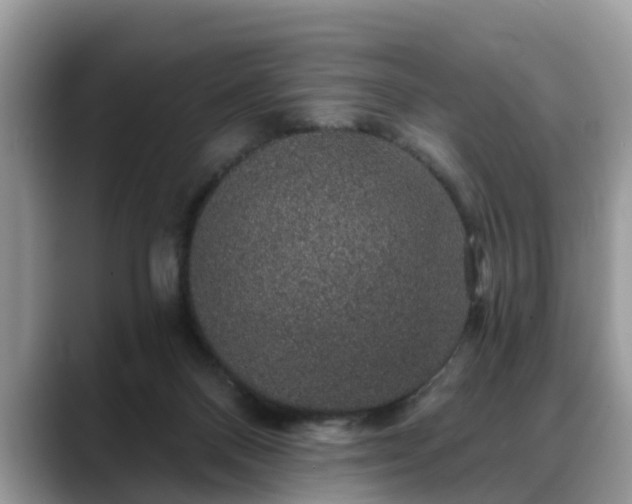 X0000088670120200706071507