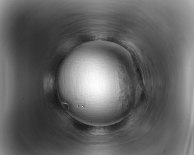 X0000088670123200706071507