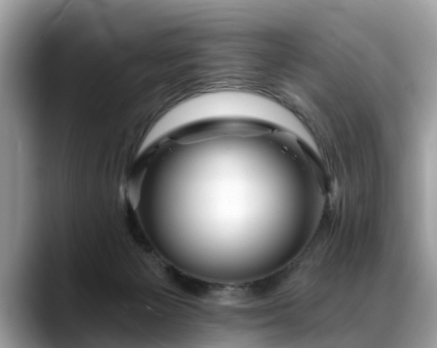 X0000088670125200706071507