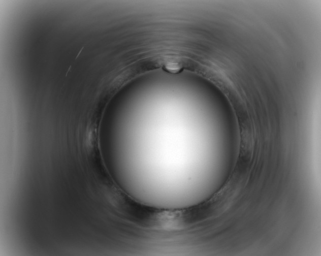 X0000088670126200706071507