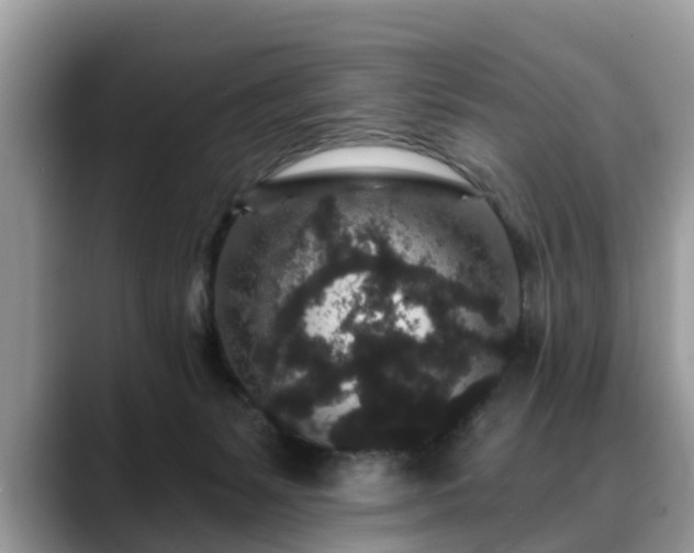 X0000088670127200706071507