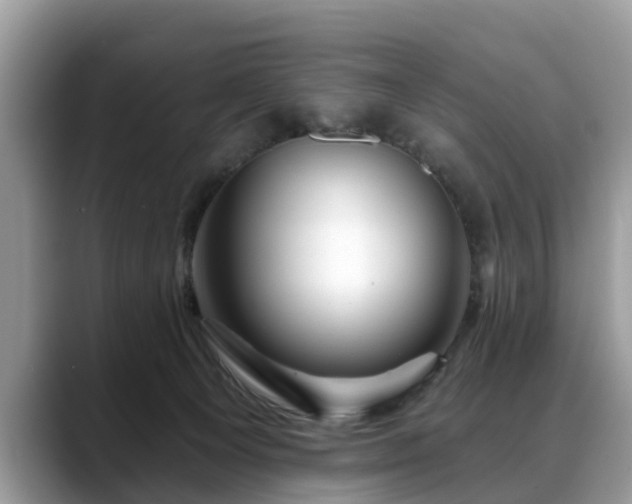 X0000088670129200706071507