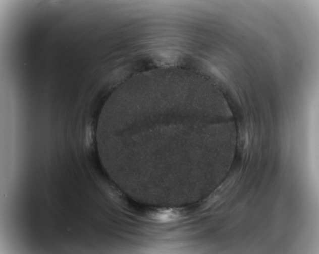 X0000088670130200706071507