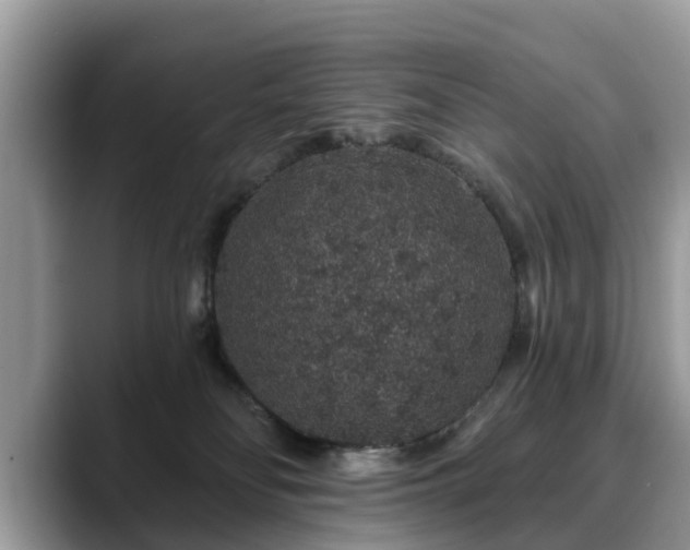 X0000088670134200706071507