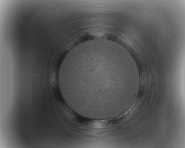 X0000088670136200706071507
