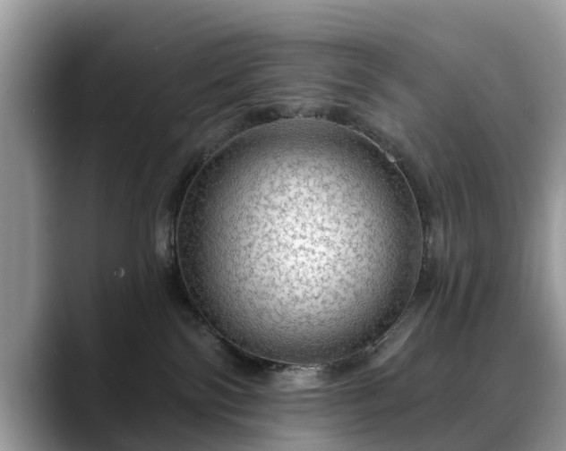 X0000088670138200706071507