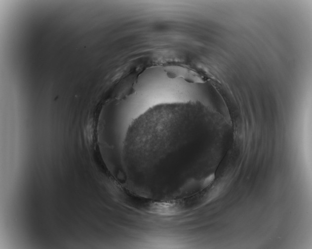 X0000088670139200706071507