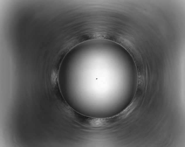 X0000088670142200706071507