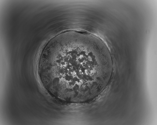 X0000088670145200706071506