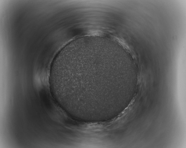 X0000088670146200706071506