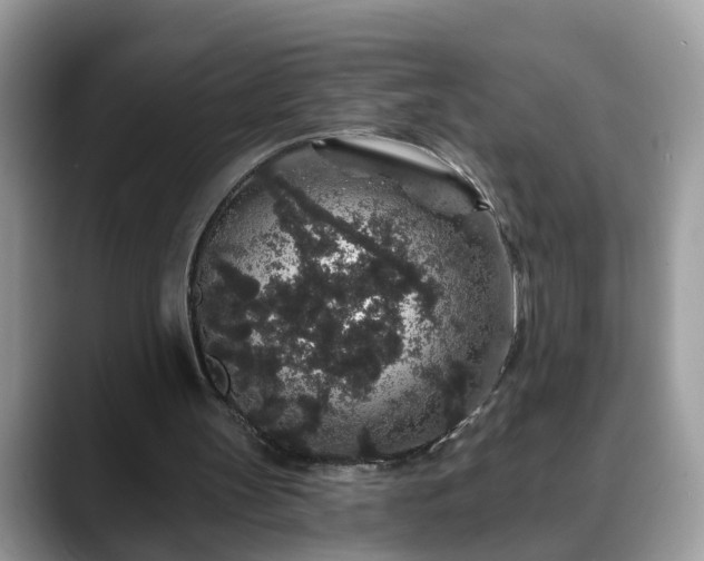 X0000088670147200706071506