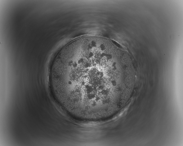 X0000088670149200706071506