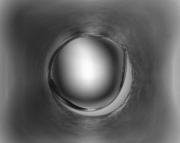 X0000088670150200706071506