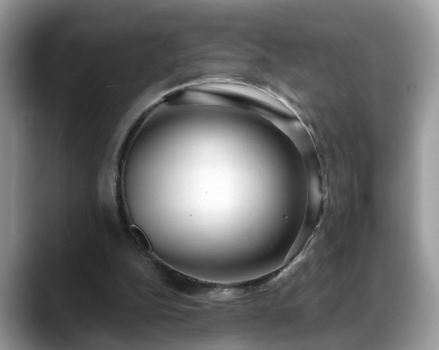 X0000088670152200706071506