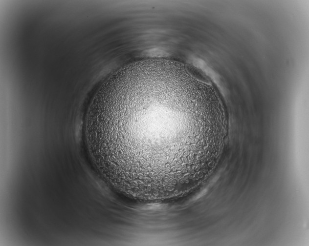X0000088670153200706071506