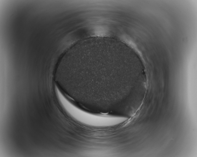 X0000088670154200706071506