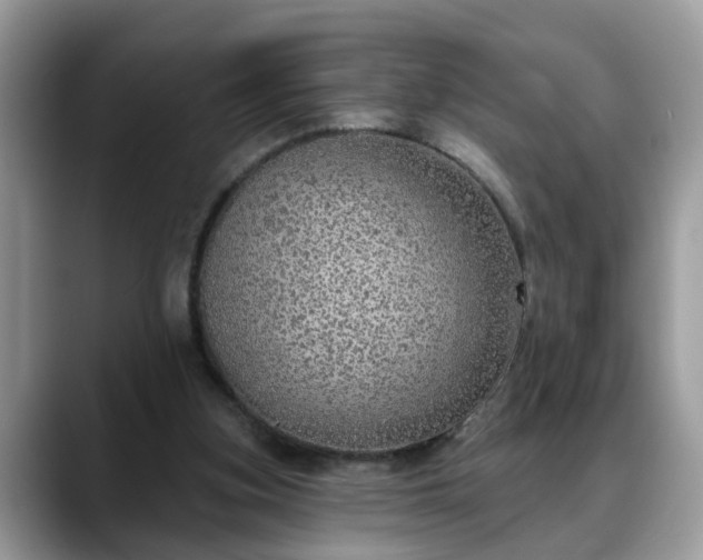X0000088670155200706071506