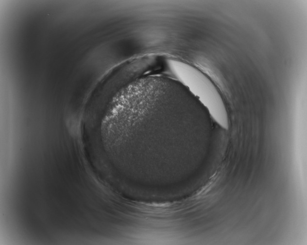 X0000088670156200706071506