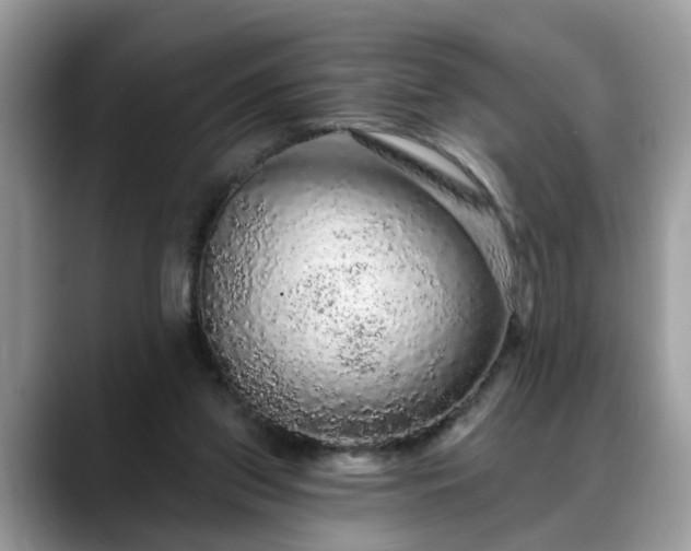 X0000088670157200706071506