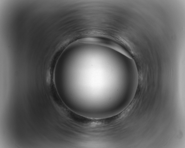 X0000088670158200706071506