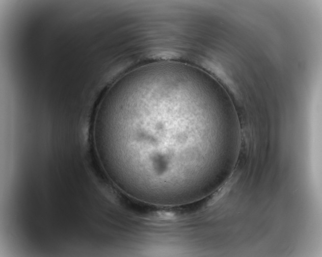X0000088670159200706071507