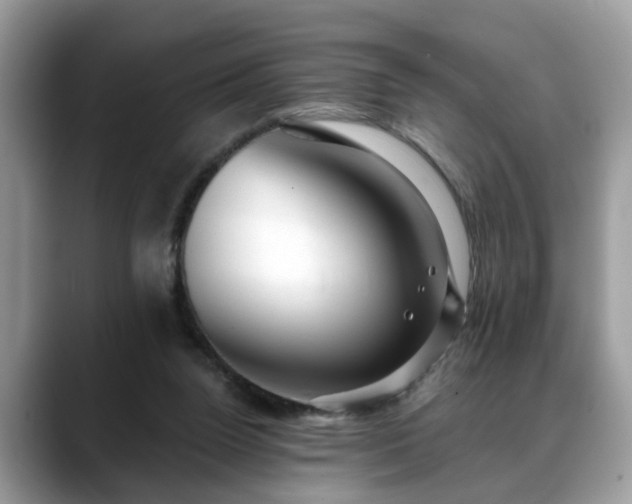 X0000088670160200706071507
