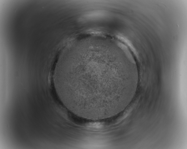 X0000088670161200706071507