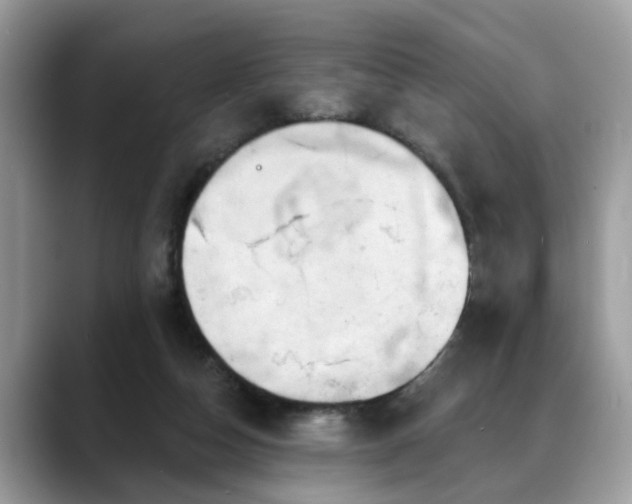 X0000088670162200706071507