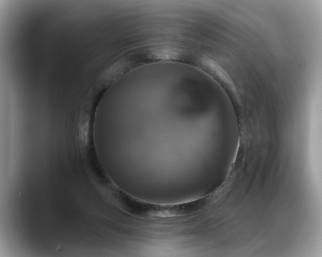 X0000088670163200706071507