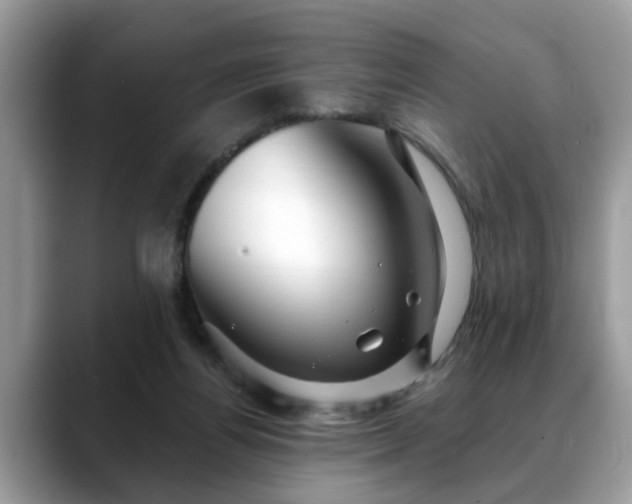 X0000088670164200706071507