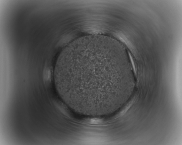 X0000088670165200706071507