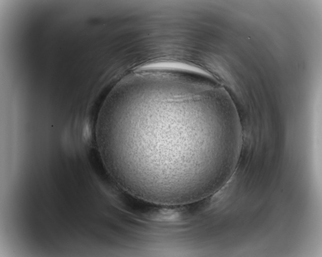 X0000088670166200706071507