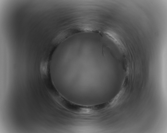 X0000088670167200706071507