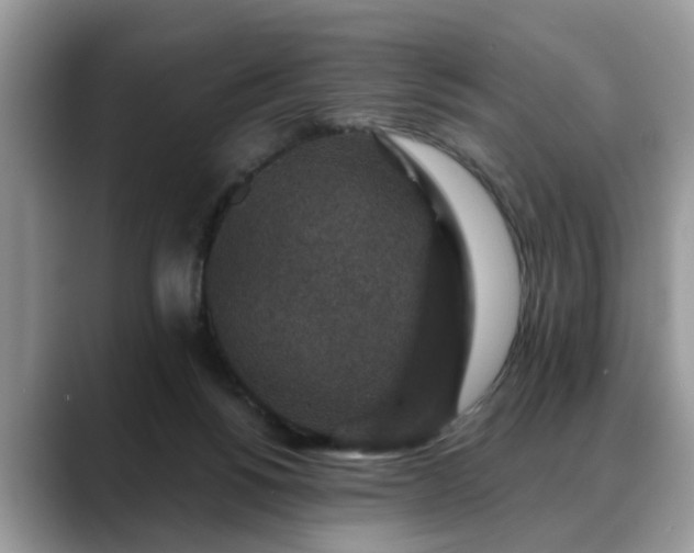 X0000088670168200706071507