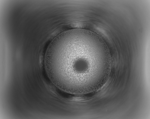 X0000088670171200706071507
