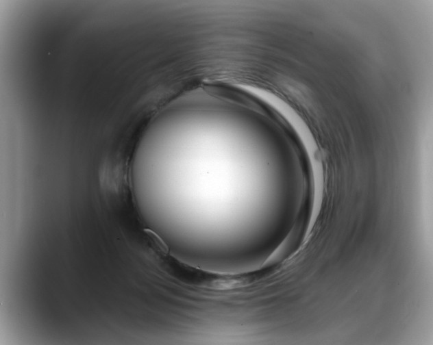 X0000088670172200706071507
