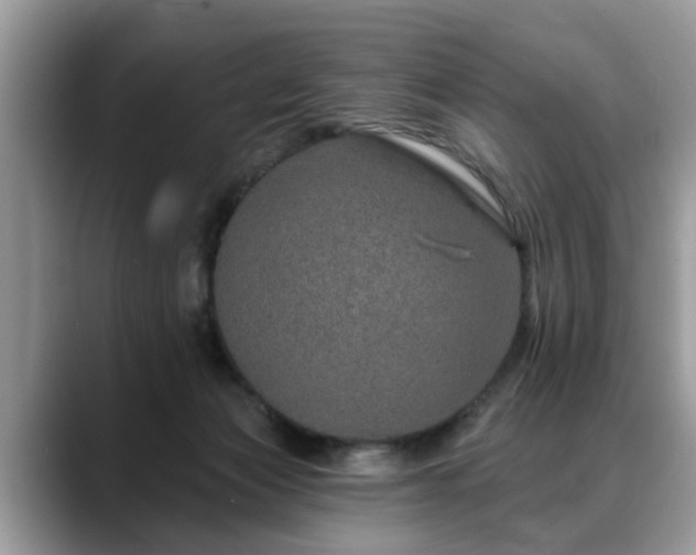 X0000088670173200706071507