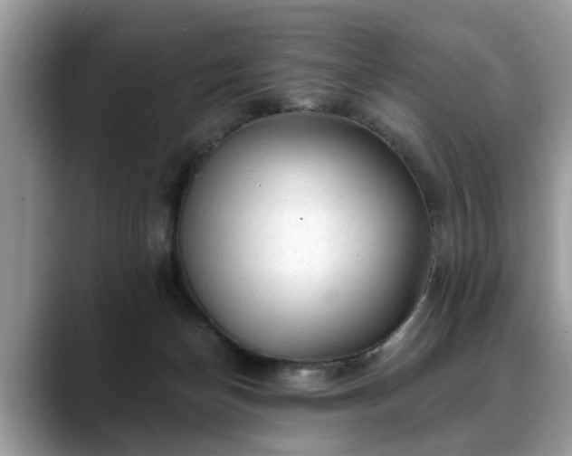 X0000088670174200706071507