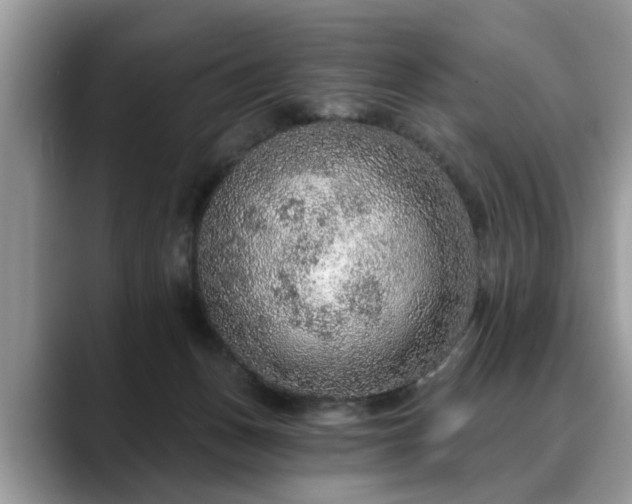 X0000088670175200706071507