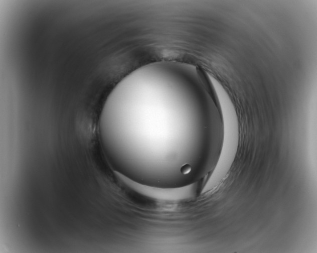X0000088670176200706071507
