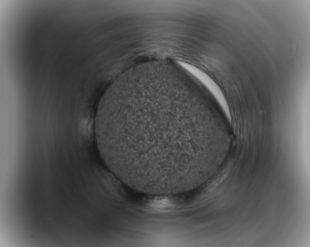 X0000088670177200706071507