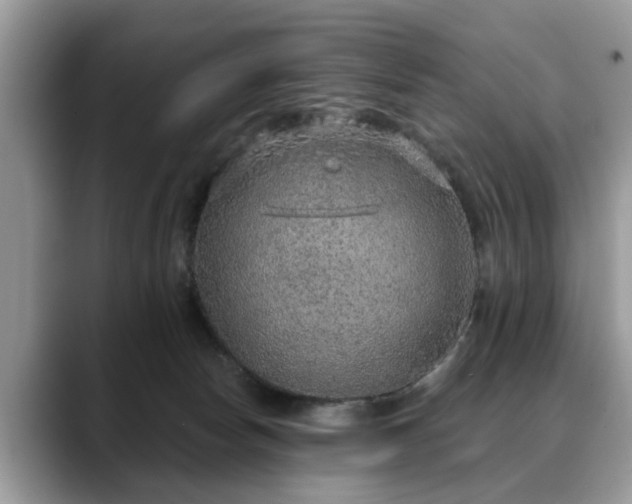 X0000088670178200706071507