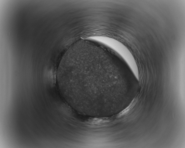 X0000088670180200706071507