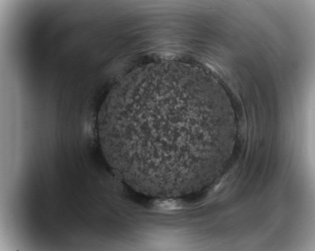 X0000088670181200706071507