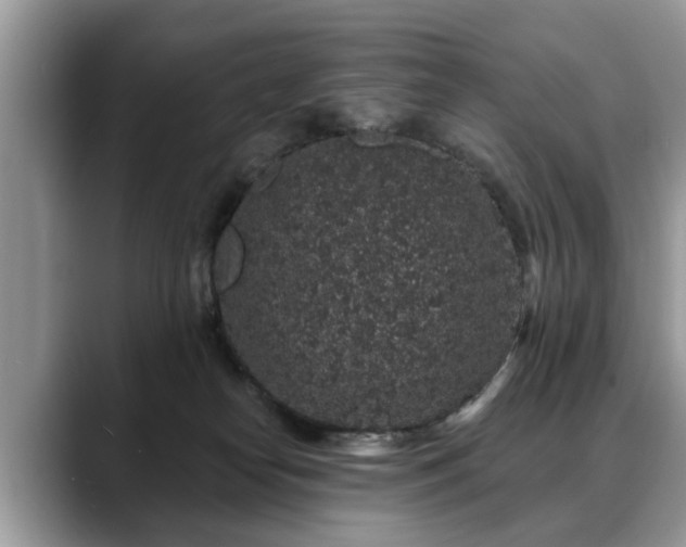 X0000088670182200706071507