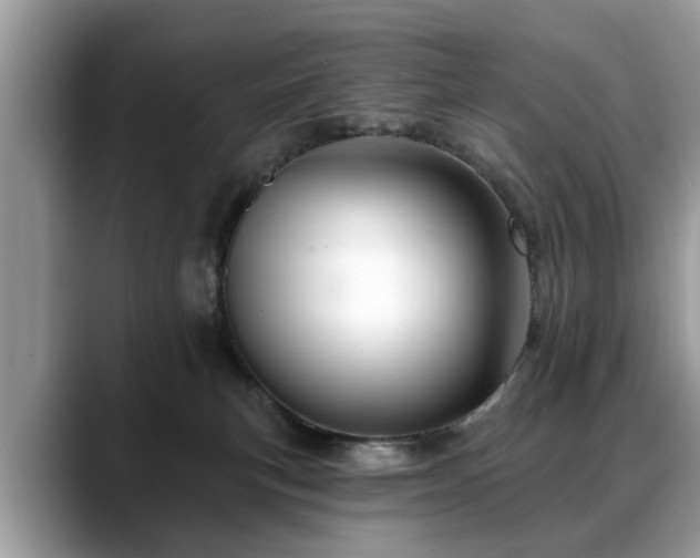 X0000088670183200706071507